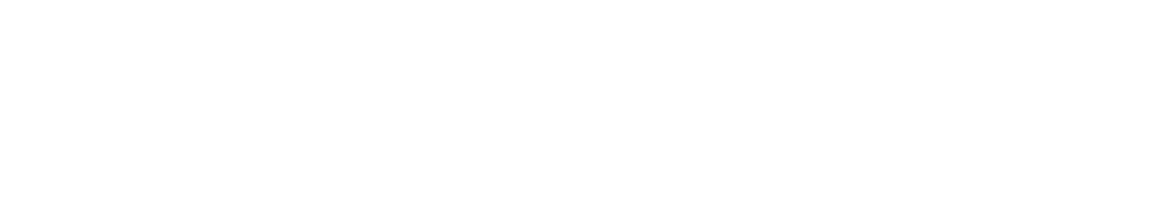 San Martín Leather
