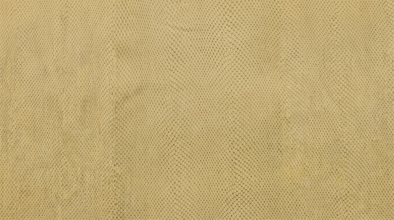 Boa — SERRAJE / SUEDE · San Martín Leather