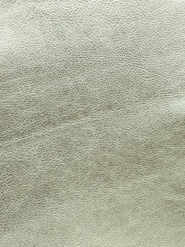 Galaxy V — METALIZADO · San Martín Leather