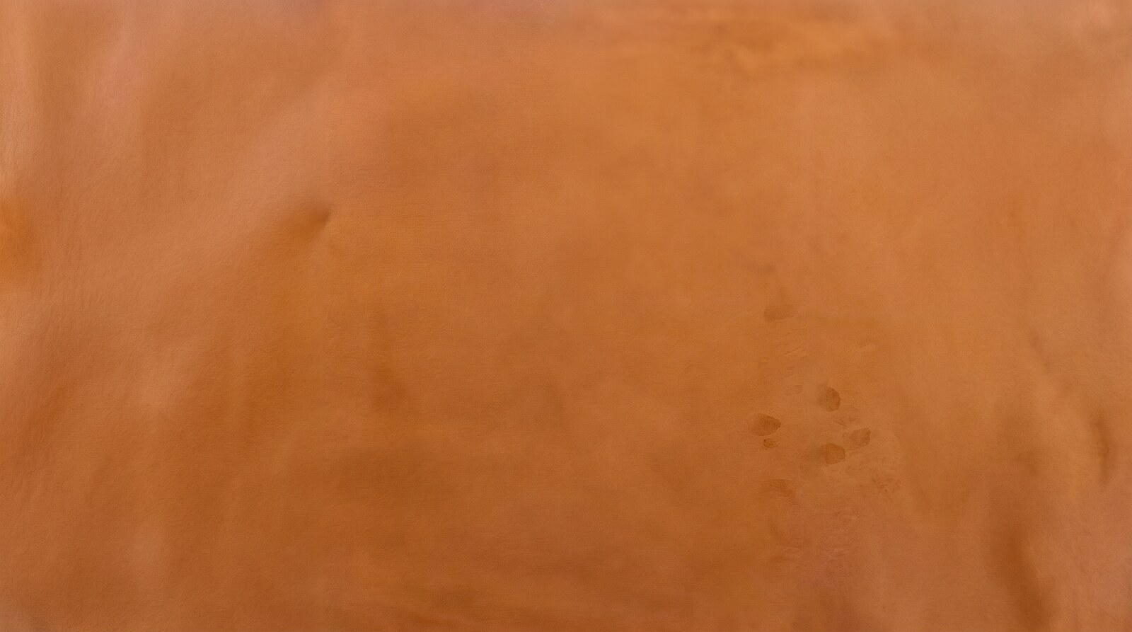Sandy Suede — SERRAJE / SUEDE · San Martín Leather